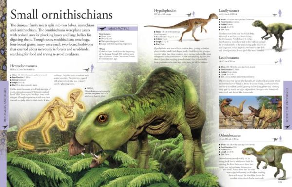 Dinosaurs a children's Encyclopedia (Dk) Hardcover